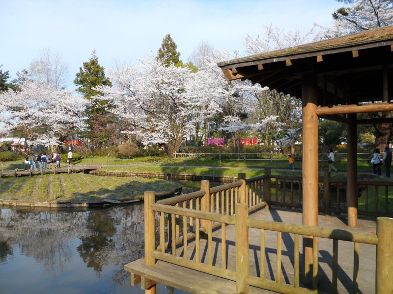 鶴岡公園にて。