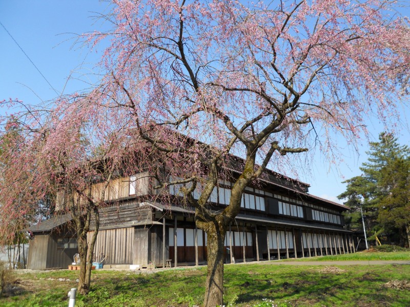 鶴岡市羽黒町松ヶ岡開墾場にて。