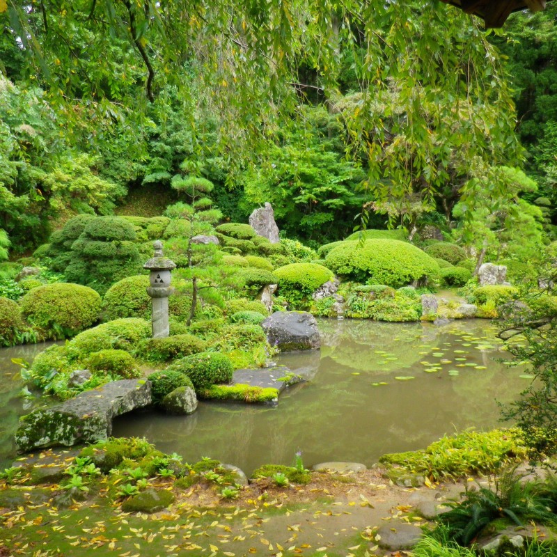 鶴岡市羽黒町「国見山　玉川寺」