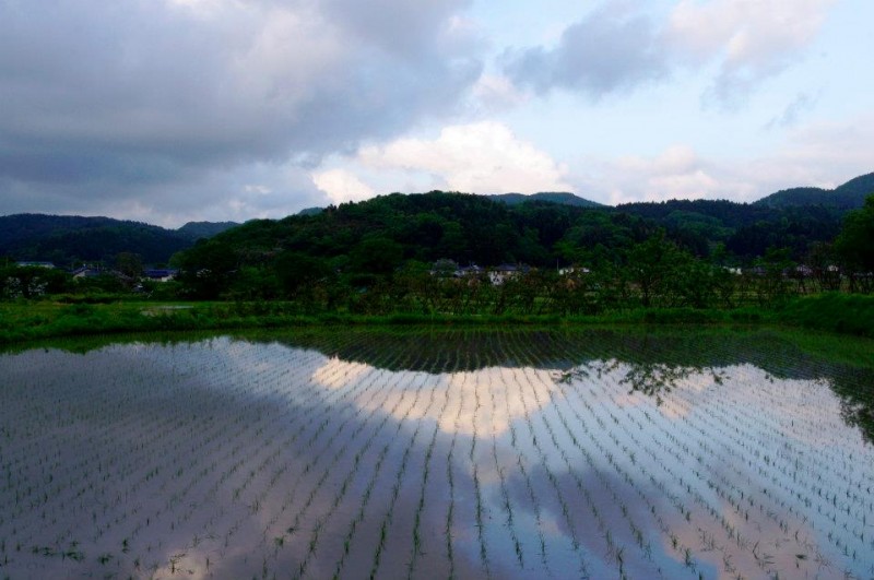 鶴岡市三瀬「田んぼの風景」