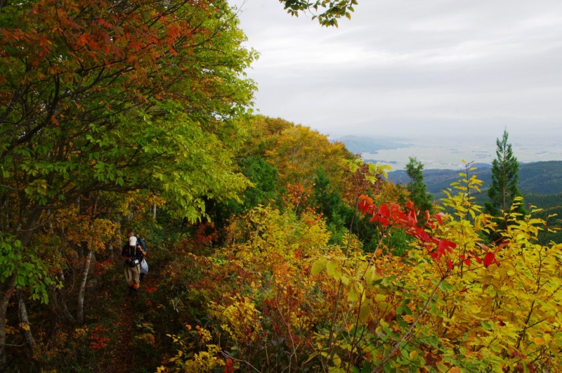 藤倉山・市民登山