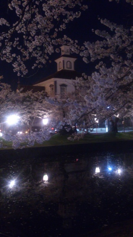 鶴岡公園の満開の夜桜
