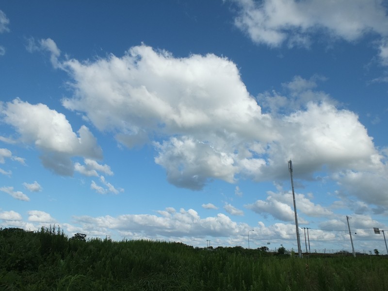 台風の後で・・・・・