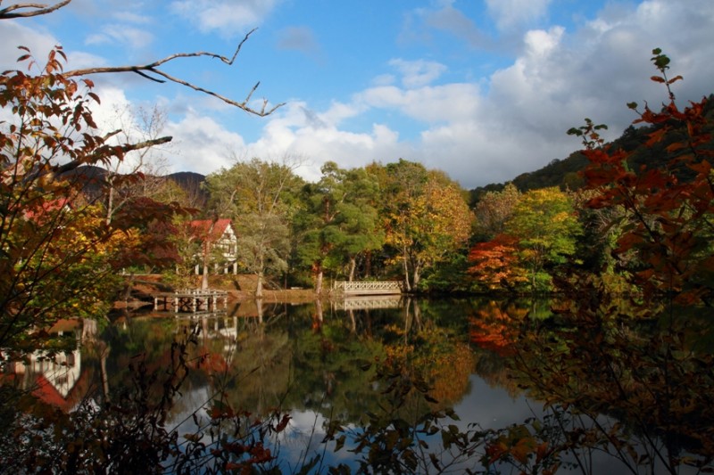 秋の鶴巻池